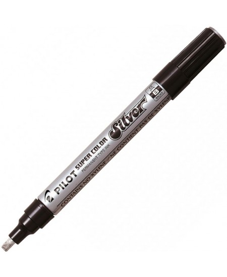 Permanentinis žymeklis PILOT SILVER EXTRA FINE, apvali galvutė, 0,5-1 mm, pilkas (sidabro sp.)