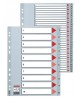 Skiriamieji plastikiniai lapai ESSELTE, 1-12, vienspalviai, A4