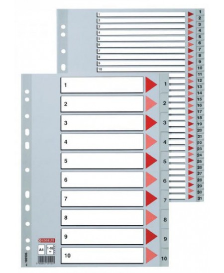 Skiriamieji plastikiniai lapai ESSELTE, 1-12, vienspalviai, A4