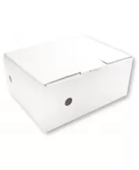 Archyvinė dėžė SM-LT, 100x345x270 mm, mikrogofro, balta