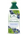 Šampūnas, L´ANGELICA OFFICINALIS, su dilgelių ir mirtų ekstraktu, 250 ml