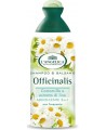 Šampūnas ir kondicionierius, L´ANGELICA OFFICINALIS, su ramunėlių ir linų sėmenų ekstraktu, 250 ml