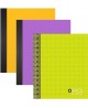 Sąsiuvinis OFFICE, A4, 48 lapai, langeliais