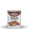 Žemės riešutai SALYSOL, šokoladinio skonio glaiste, 60 g