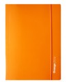 Aplankas su guma Osiris, kartoninis, A4, oranžinis