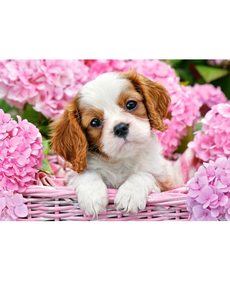 Dėlionė CASTORLAND Pup in Pink Flowers, 500 det.