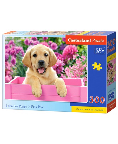 Dėlionė CASTORLAND Labrador Puppy in Pink Box, 300 det.