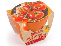 Auginimo rinkinys vaikams RADIS et CAPUCINE Vyšniniai pomidorai