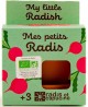 Auginimo rinkinys vaikams RADIS et CAPUCINE Ekologiški ridikėliai