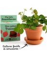 Auginimo rinkinys vaikams RADIS et CAPUCINE Braškės