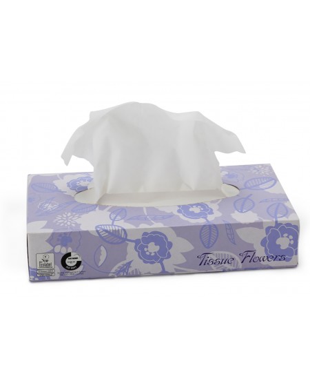 Kosmetinės veido servetėlės CELTEX Tissue Flowers, 100 vnt