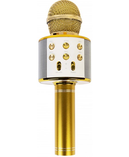 Karaokė mikrofonas - kolonėlė, su balso keitimo efektais, auksinis, WS-858