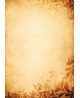 Diplominis popierius GALERIA PAPIERU 215517, 170 g/m2, A4, 25 lapai