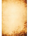 Diplominis popierius GALERIA PAPIERU 215517, 170 g/m2, A4, 25 lapai