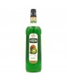 Sirupas TEISSEIRE, kivių, 1 l