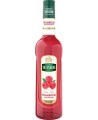 Sirupas TEISSEIRE, aviečių, 1 l