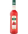 Sirupas TEISSEIRE, spanguolių, 0,7 l