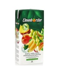 Įvairių vaisių sulčių vitaminizuotas gėrimas ELMENHORSTER, 20%, 2 l