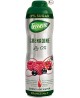 Sirupas TEISSEIRE, Grenadine, be cukraus, 0,6l