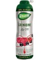 Sirupas TEISSEIRE, Grenadine, be cukraus, 0,6l