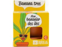 Bananmedžio auginimo rinkinys RADIS et CAPUCINE