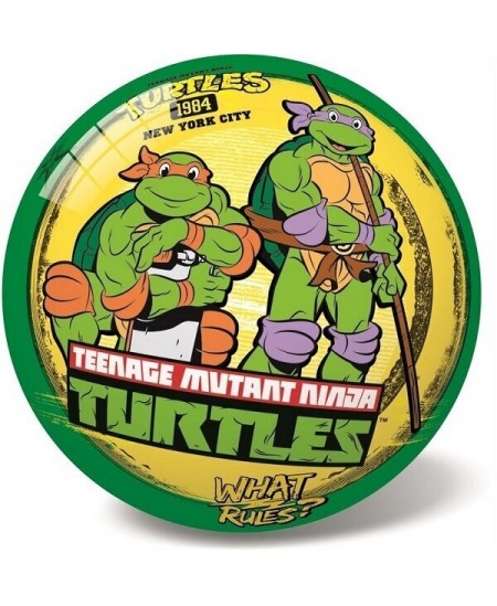 Kamuolys STAR Ninja Turtles retro, 23 cm