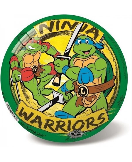 Kamuolys STAR Ninja Turtles retro, 23 cm