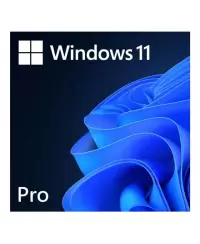 Microsoft FQC-10572 Win 11 Pro 64-Bit All Lng 1pk ESD