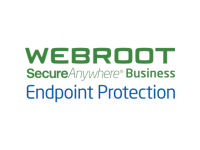 Webroot Business Endpoint Protection with GSM Console, Antivirus Business Edition, 1 year(s), License quantity 1-9 user(s)