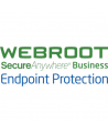 Webroot Business Endpoint Protection with GSM Console, Antivirus Business Edition, 1 year(s), License quantity 10-99 user(s)