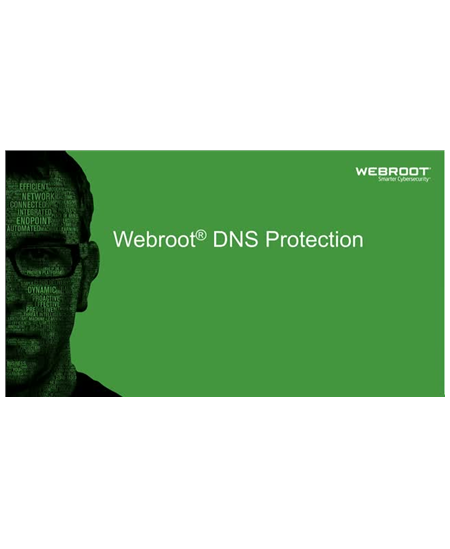 Webroot DNS Protection with GSM Console, 1 year(s), License quantity 1-9 user(s)