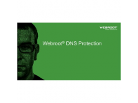 Webroot DNS Protection with GSM Console, 1 year(s), License quantity 10-99 user(s)