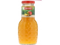 Mangų gėrimas GRANINI, 24%, 0,25 l D