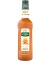 Sirupas TEISSEIRE, Orange spritz, 0,7l