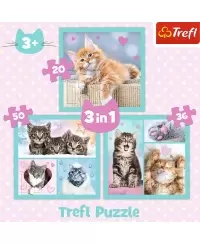 TREFL 3 dėlionių rinkinys „Kačiukai“