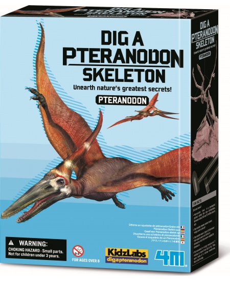 Kasinėjimų rinkinys 4M „Pteranodonas"