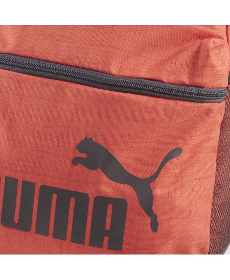 Puma Kuprinė Phase Backpack Red 090118 02