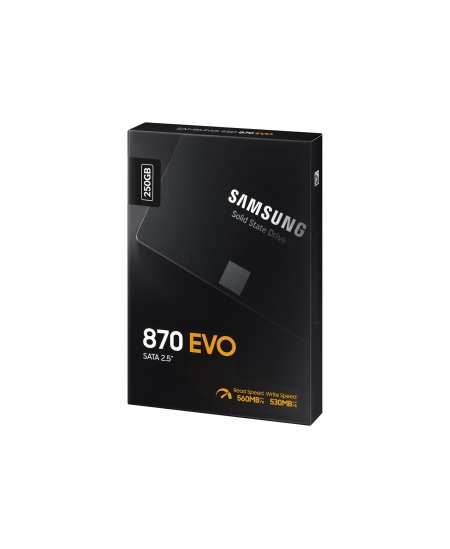 Samsung SSD 870 EVO 250 GB SSD form factor 2.5" SSD interface SATA III Write speed 530 MB/s Read speed 560 MB/s