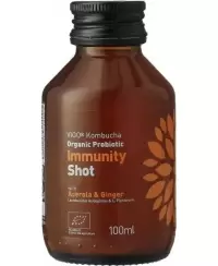 Gaivusis arbatos gėrimas VIGO Kombucha, Immunity shot, 0,1l, LT-EKO-001