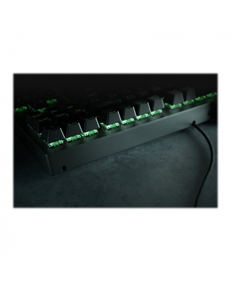 Razer BlackWidow V3, Gaming keyboard, RGB LED light, US, Black, Wired