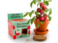 Auginimo rinkinys vaikams RADIS et CAPUCINE Ekologiški vyšniniai pomidorai
