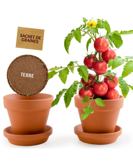Auginimo rinkinys vaikams RADIS et CAPUCINE Ekologiški vyšniniai pomidorai
