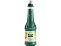 Tyrės gėrimas TEISSEIRE, ananasų skonio, 1 l