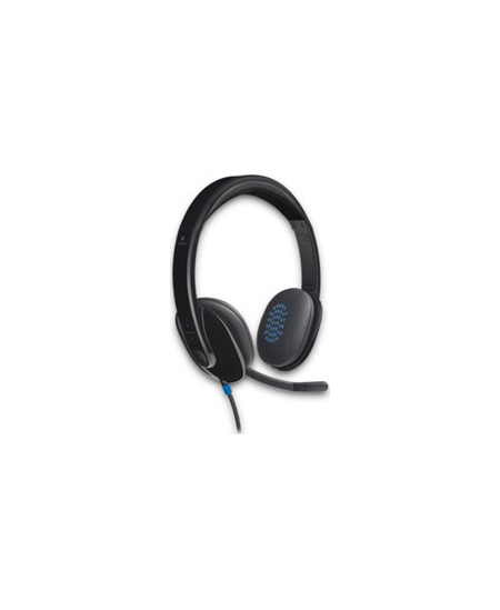 Logitech | Headset | H540 | On-Ear USB Type-A | Black