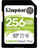 Kingston Canvas Select Plus - flash memory card - 256 GB - SDXC UHS-I | Kingston