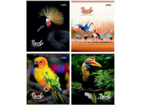 Sąsiuvinis linijomis OZIRIS Paukščiai, 48 lapai, 65 gms