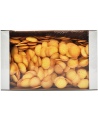 Sausainiai KOKOSINUKAI, 1kg