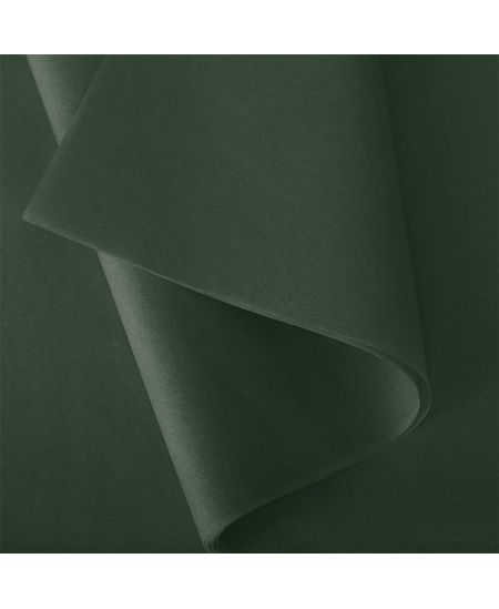 Šilkinis dovanų pakavimo popierius, 50x75cm, 24 lapai, Bottle Green Nr. 54
