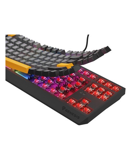 THOR 230 | Mechanical Gaming Keyboard | Wired | US | Anchor Gray Negative | USB Type-A | Outemu Red