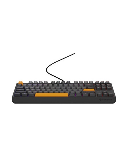 THOR 230 | Mechanical Gaming Keyboard | Wired | US | Anchor Gray Negative | USB Type-A | Outemu Red